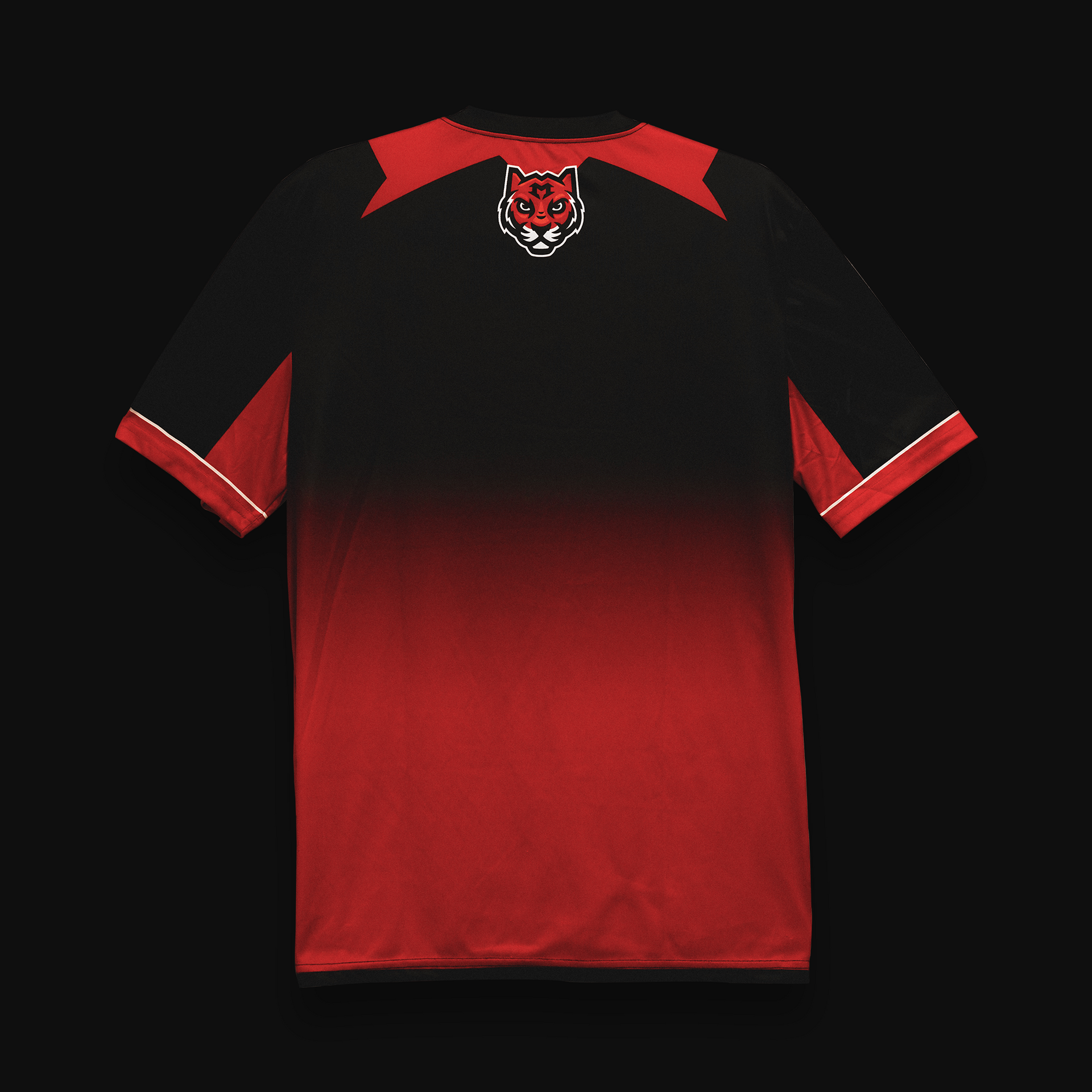 Mazer 2024 Jersey